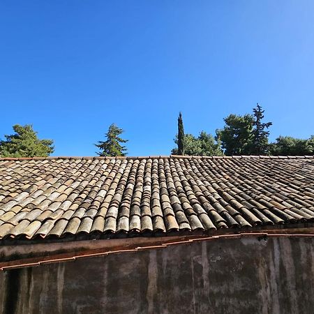 Sofia'S Central Apartment パレルモ エクステリア 写真